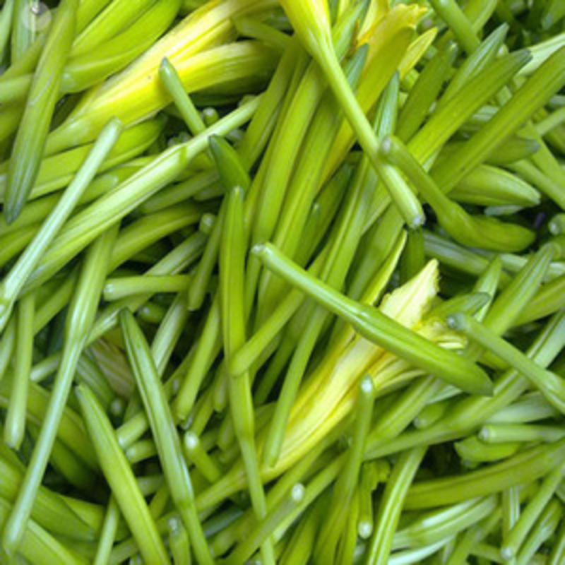【黄花菜种子】四季播种野菜种籽金针菜天然菜蔬菜