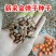 新采金弹子种子鸡血红老鸦柿种子梨形葫芦果灯泡型种子