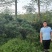 昊文造型黑松基地批发价格，批发造型油松，造型松