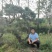 昊文造型黑松基地批发价格，批发造型油松，造型松