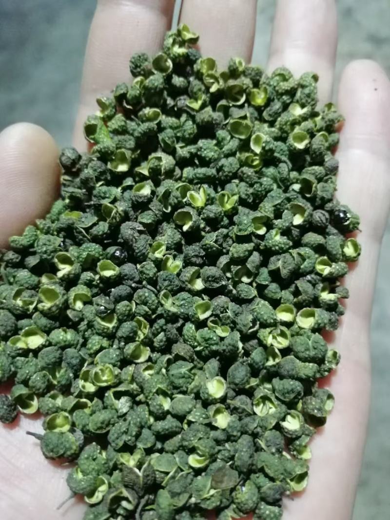 包邮2026年/青麻椒/青花椒/花椒/净度高色选精选无刺