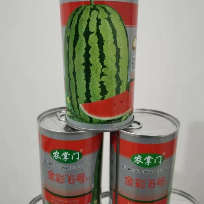 高品质杂交西瓜种子金彩6号硒砂瓜中熟皮薄大红瓤耐旱糖度高