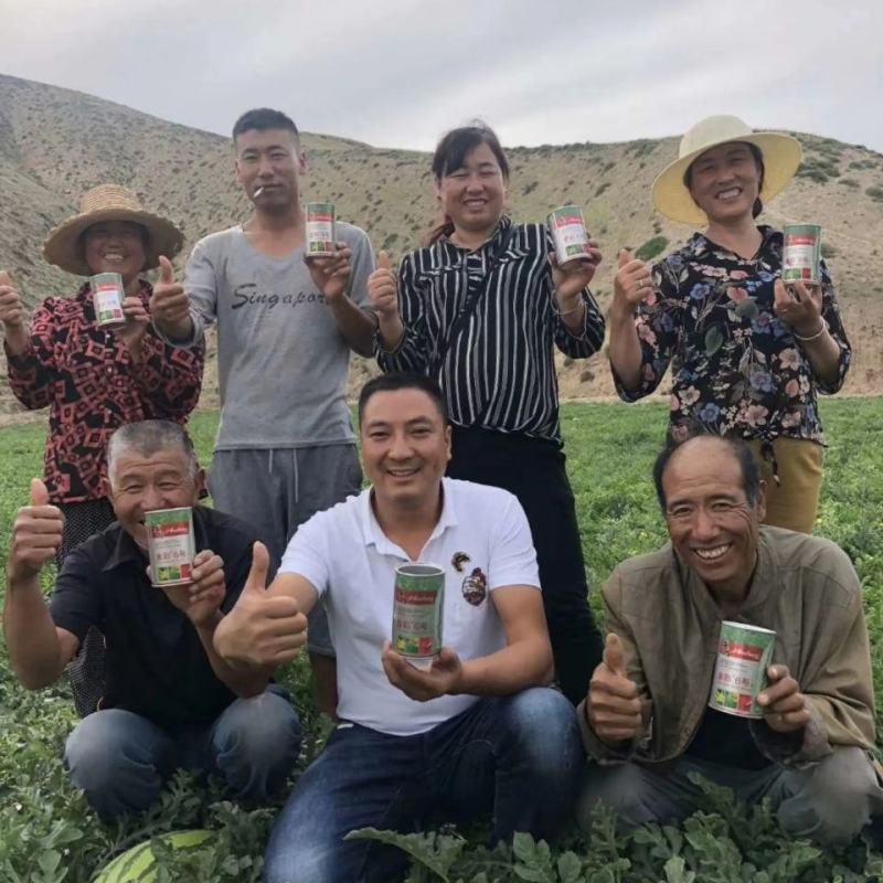 高品质杂交西瓜种子金彩6号硒砂瓜中熟皮薄大红瓤耐旱糖度高