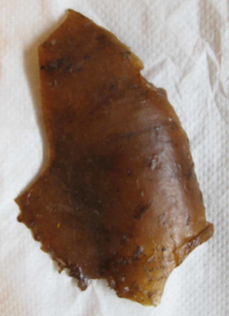 干蟾个干蟾皮干度好去内脏不满意可以退换货