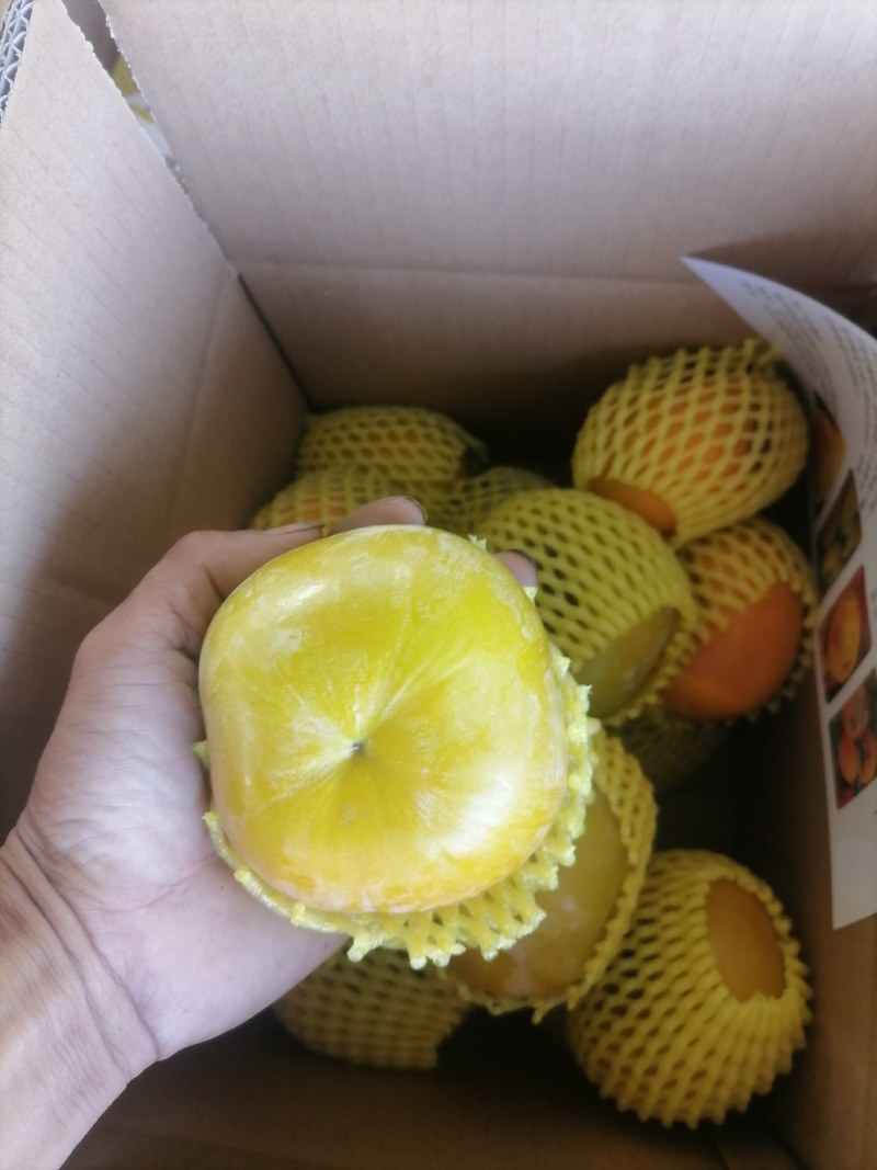 脆柿承接电商一件代发