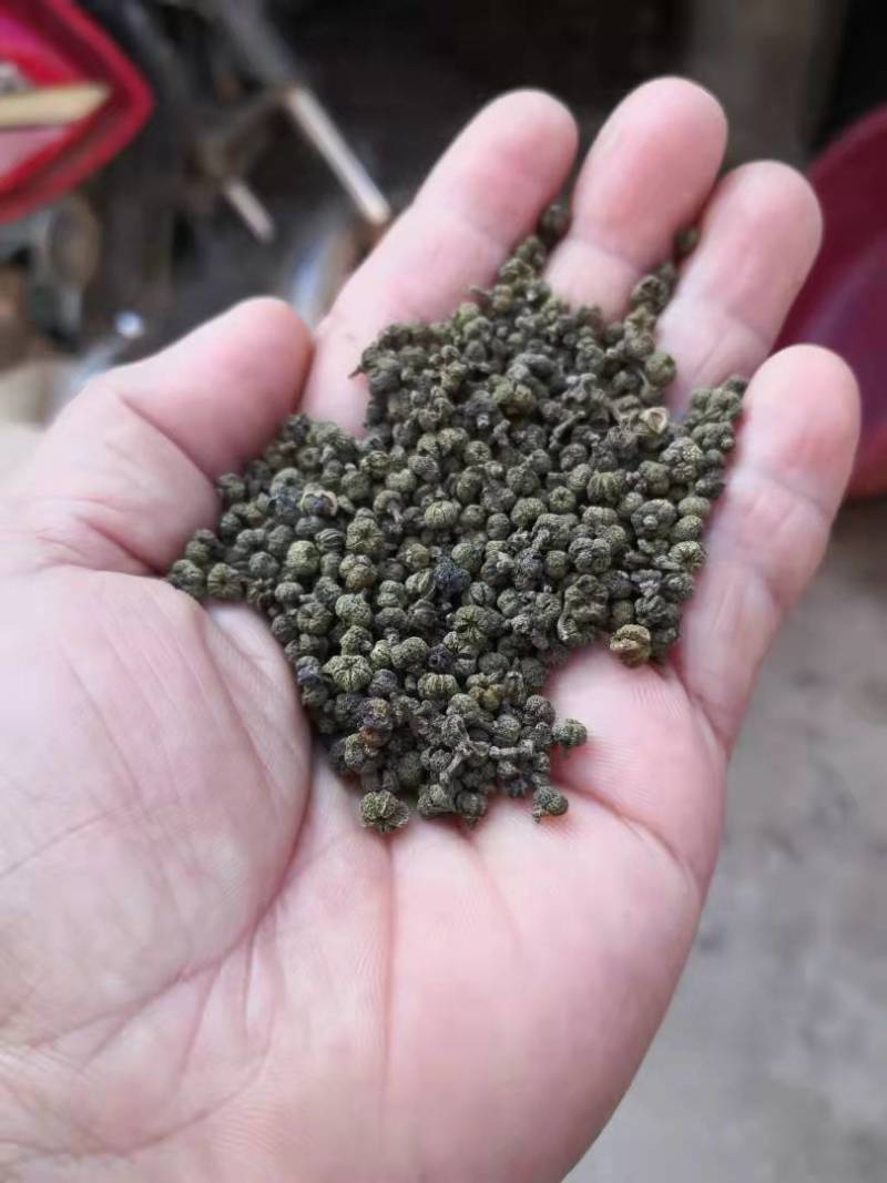 广西中花吴茱萸