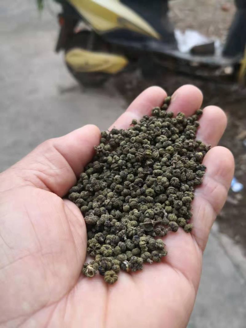 广西中花吴茱萸