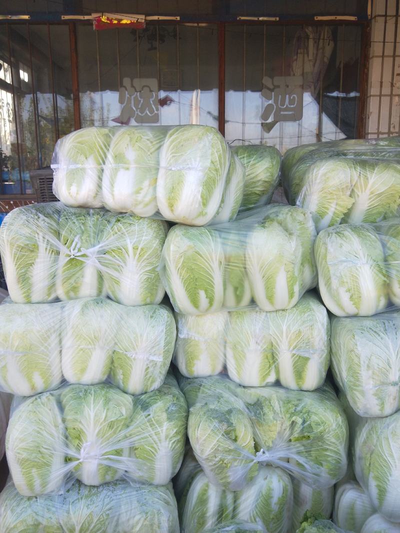 小铁头