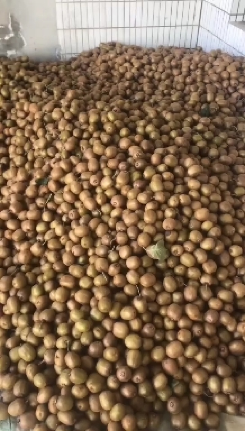 40-80克小果徐香翠香零卖批发的老板欢迎采