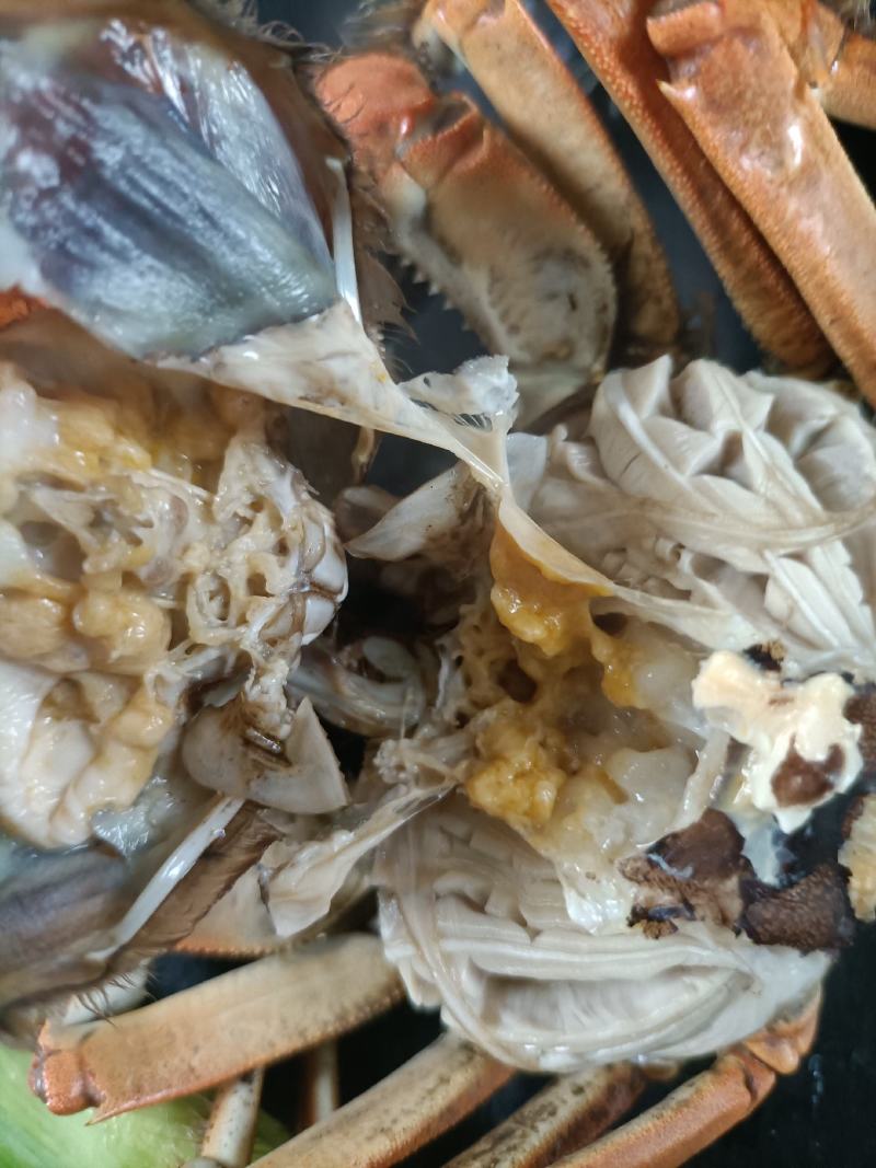 这里是河北唐山螃蟹便宜啦质量好价格廉看看我做的螃蟹豆腐