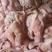 去骨八成熟猪头肉工厂生产批发猪副产品猪肉精加工