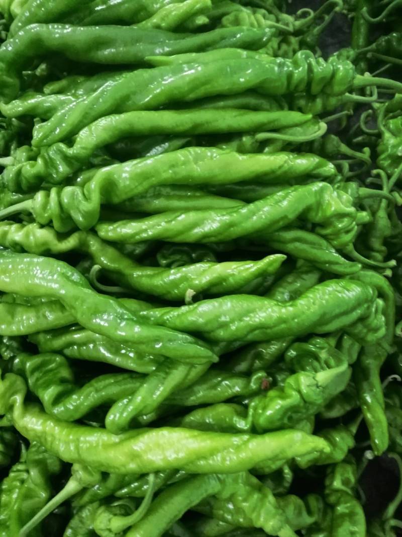 龙椒山东原产地，龙椒，线椒，圆椒，杭椒，辣妹子，麻辣椒，