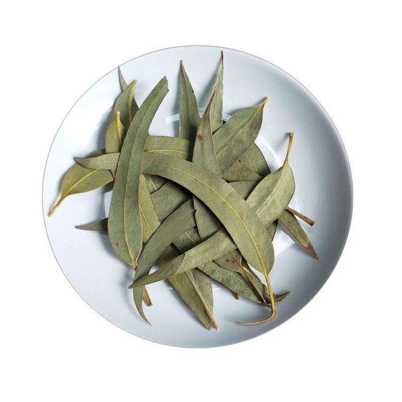 桉树叶粉超细破壁粉高品质中药材尤加利树树泡茶水食用
