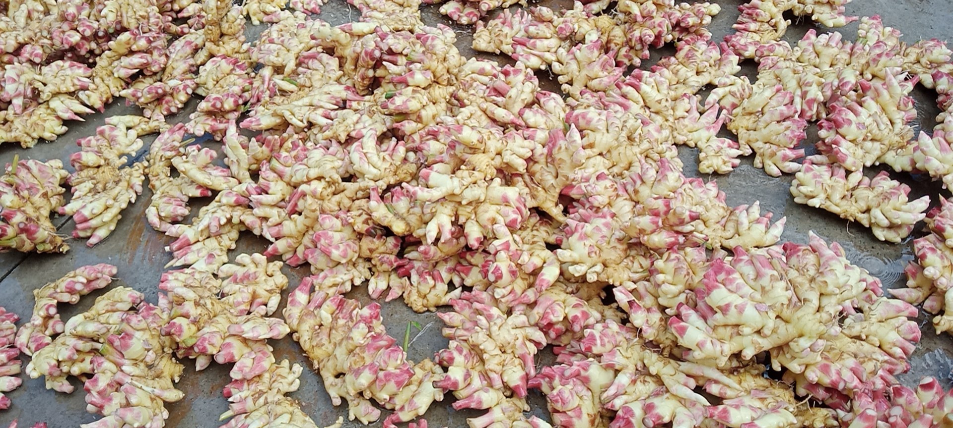 香芋奶茶、香芋泥、香芋饼等香芋制作的美食摆放在餐桌上,色泽金黄,香气扑鼻 香芋美食图集