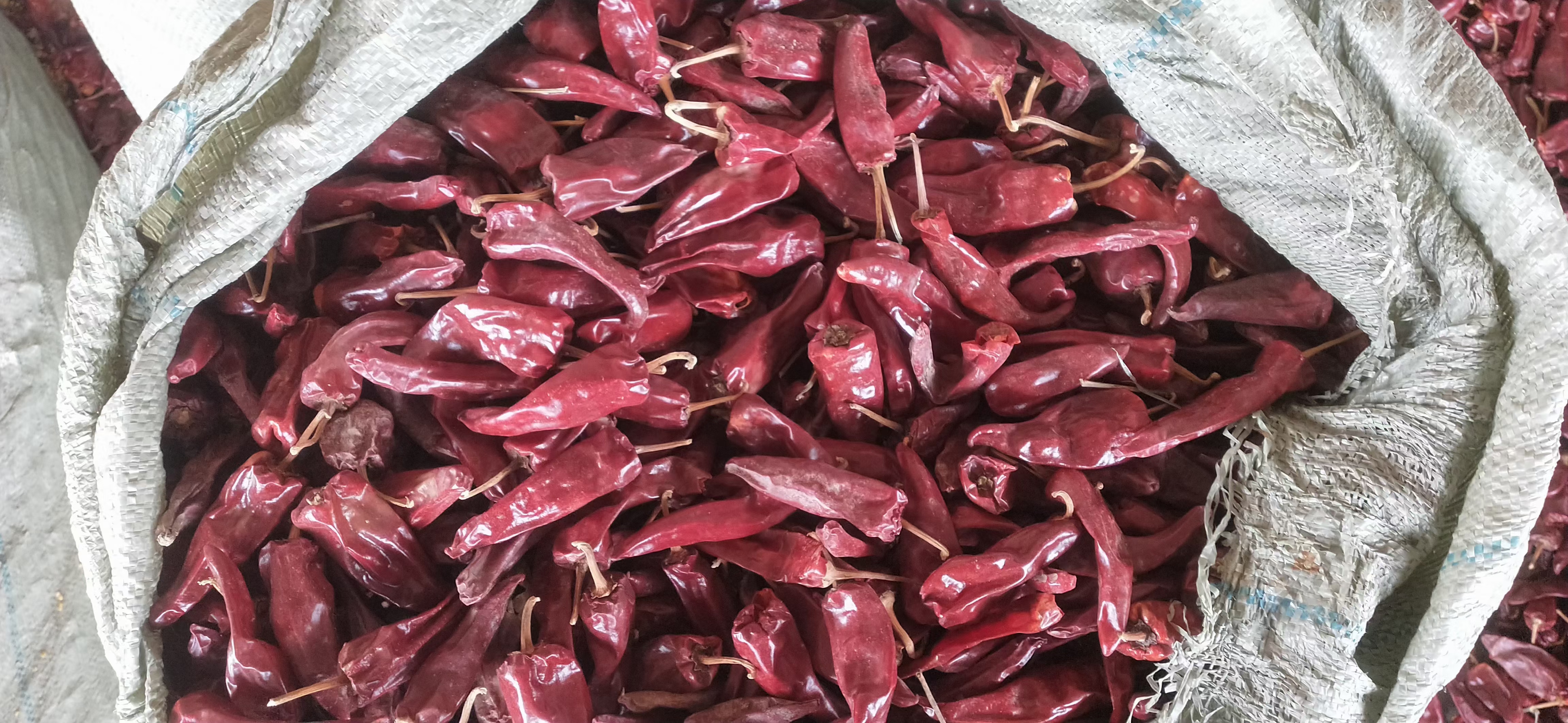 干辣椒特写,展示其颜色和形态 干辣椒特写