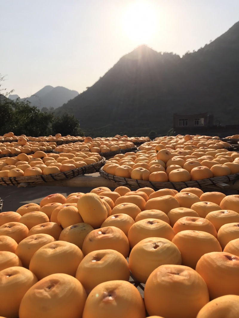 广西柿饼一件代发农家手工自制圆饼吊柿饼软糯香甜