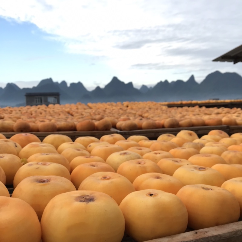 广西柿饼一件代发农家手工自制圆饼吊柿饼软糯香甜