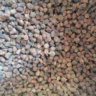 捻子(包邮)，3斤起批发，零售大量从优，