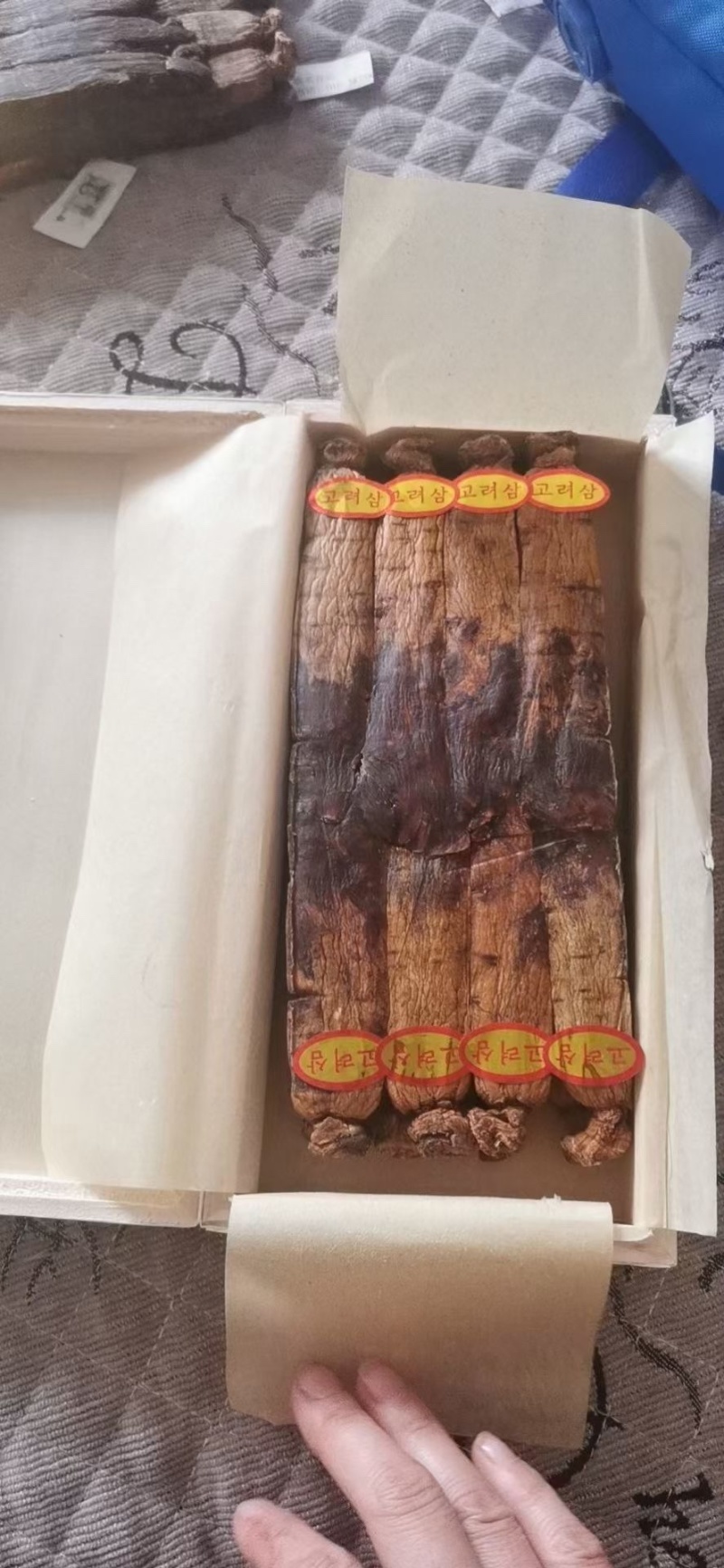 高丽参