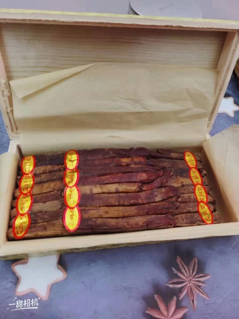 高丽参
