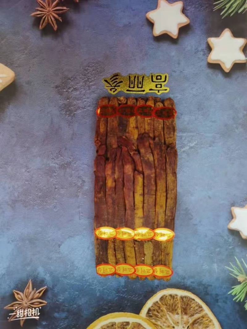 高丽参
