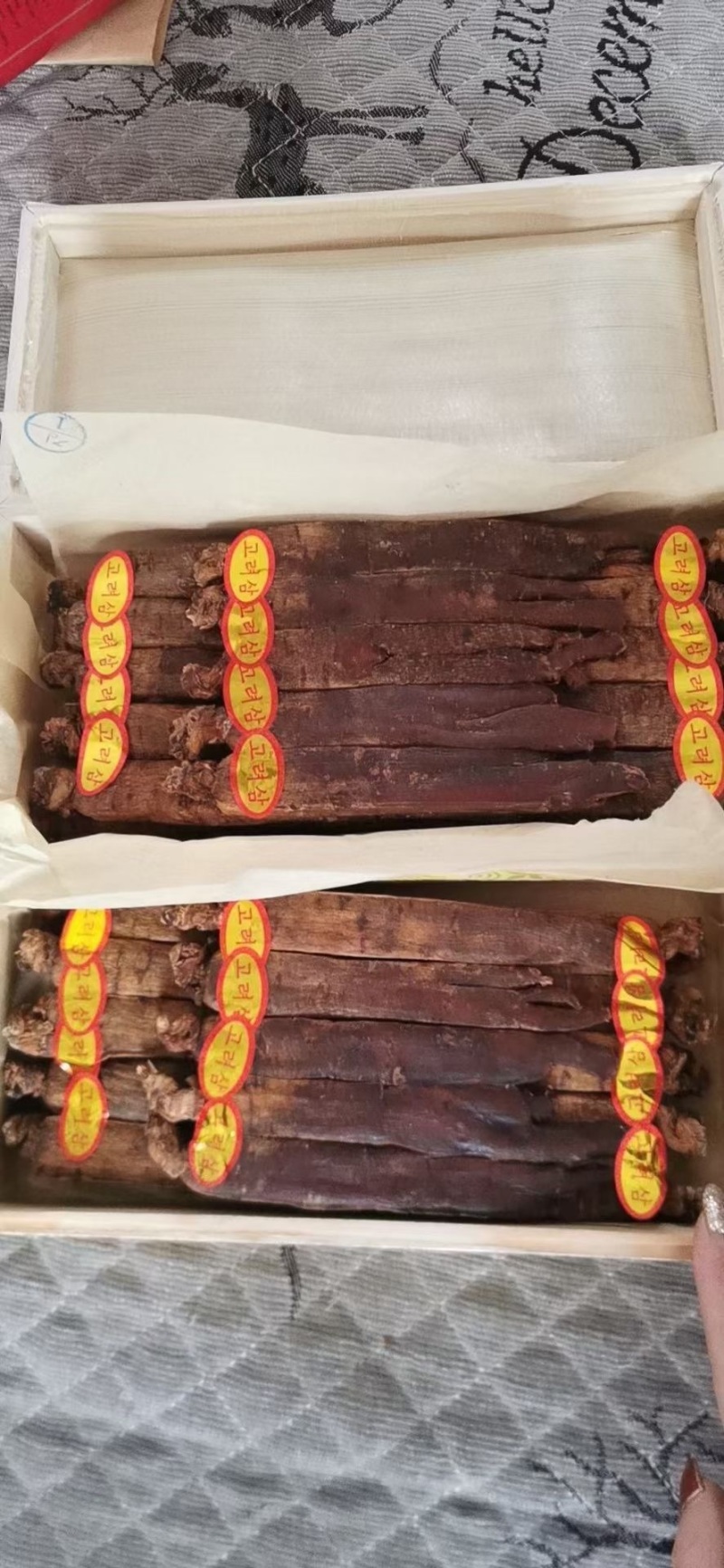 高丽参
