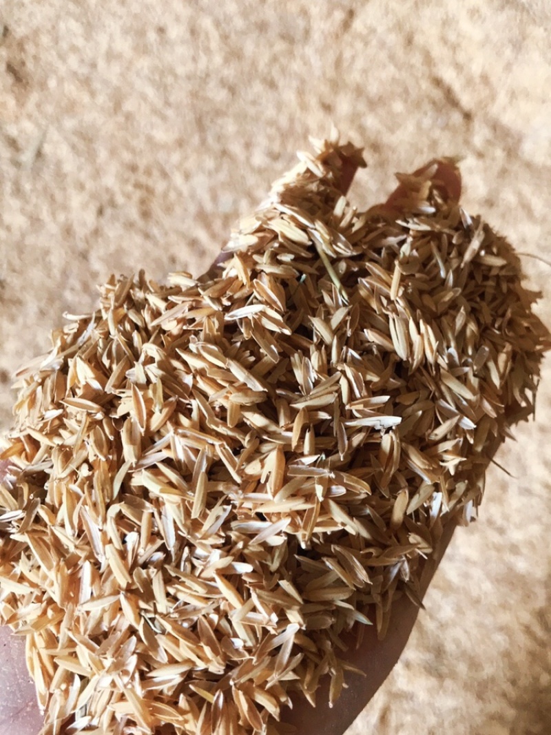 压缩稻壳打包稻壳统糠除尘糠筛糠全国长期供应