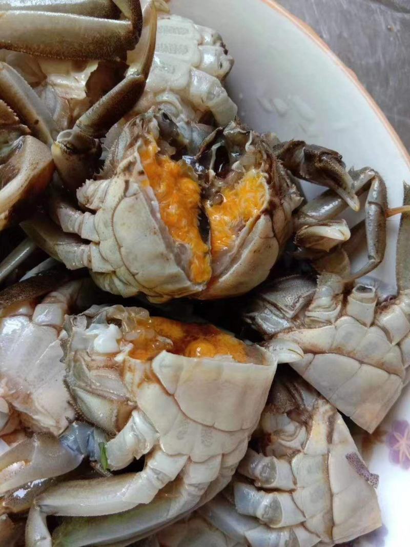 湖北大闸蟹一件起批，满黄满膏，底板干净，保质保量。