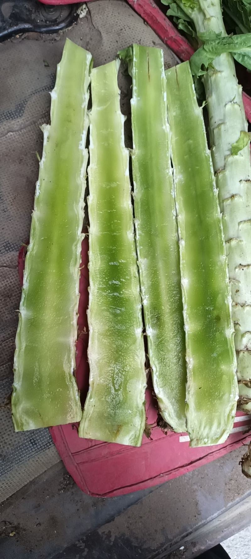 莴笋，大量有货
