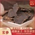 玄参片大片苦老子玄参重要批发泡茶泡水无硫麦冬打粉