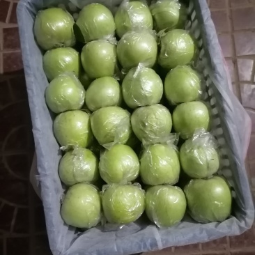 王林苹果