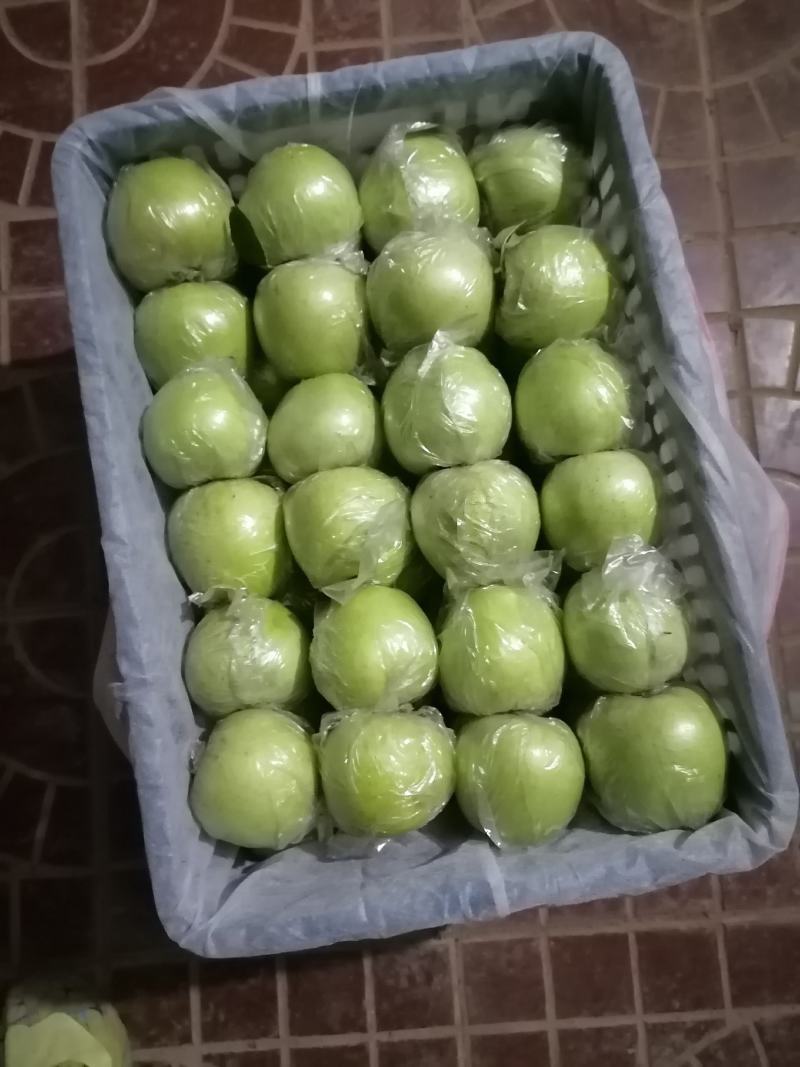 王林苹果