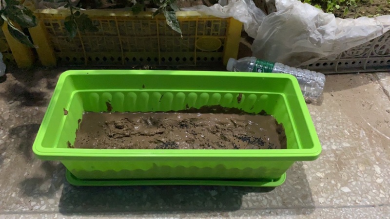 花盆多肉种菜阳台大号特大号蔬菜种植育苗草莓种植