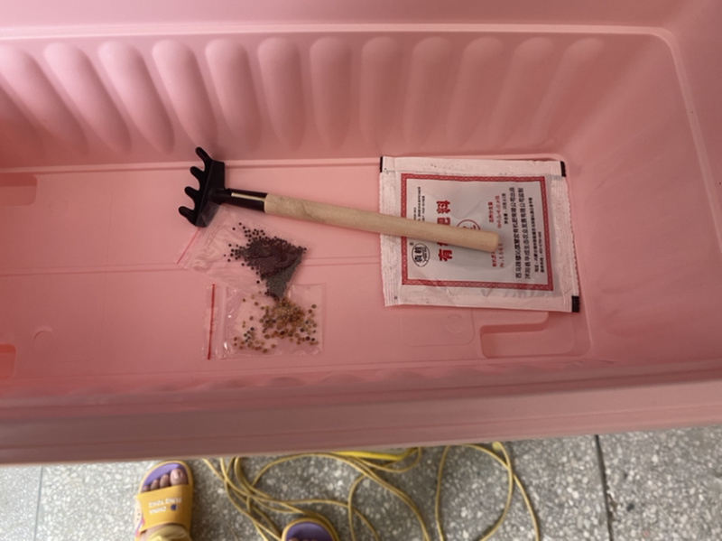 花盆多肉种菜阳台大号特大号蔬菜种植育苗草莓种植