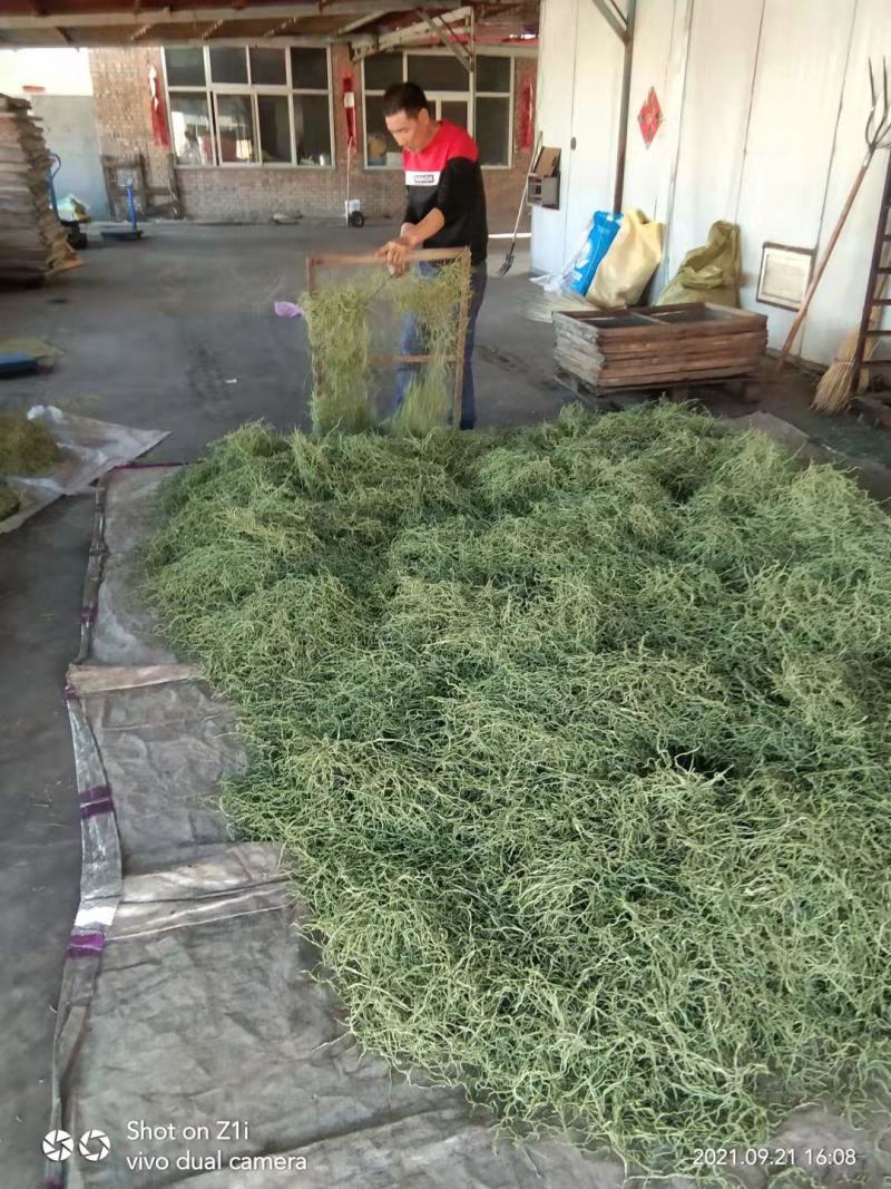 架豆丝张家口特产蔚县贡菜绿色秋豆角丝干豆角丝