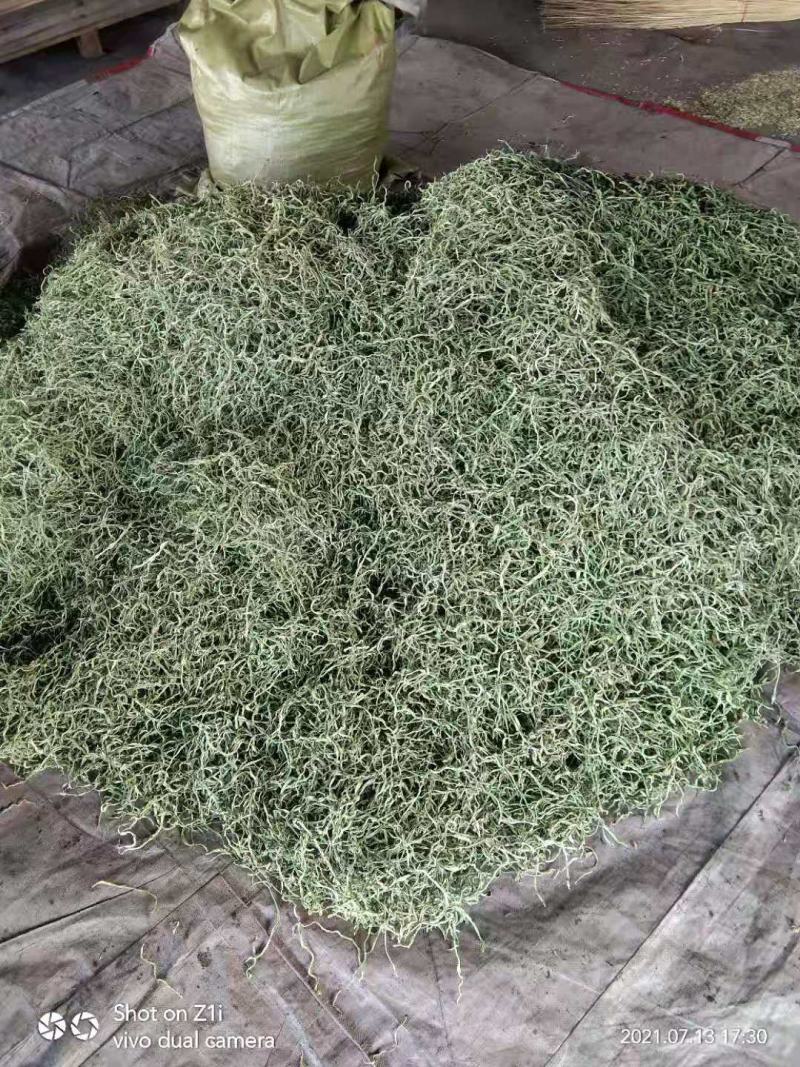 架豆丝张家口特产蔚县贡菜绿色秋豆角丝干豆角丝