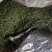 架豆丝张家口特产蔚县贡菜绿色秋豆角丝干豆角丝