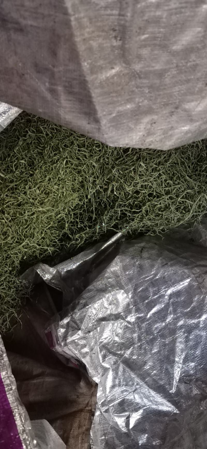 架豆丝张家口特产蔚县贡菜绿色秋豆角丝干豆角丝