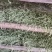 架豆丝张家口特产蔚县贡菜绿色秋豆角丝干豆角丝