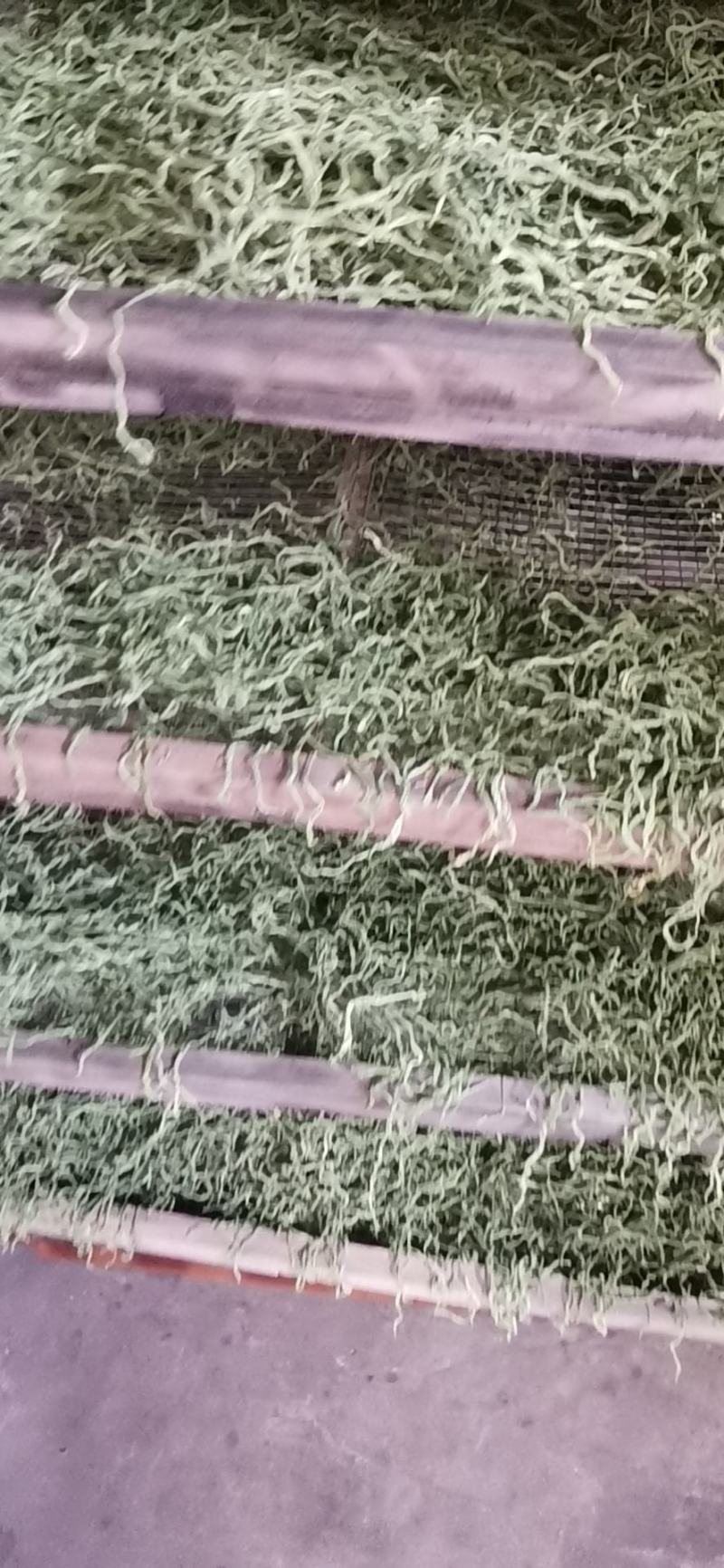 架豆丝张家口特产蔚县贡菜绿色秋豆角丝干豆角丝