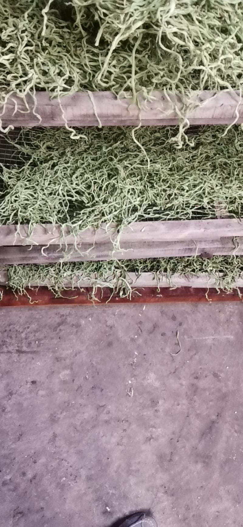架豆丝张家口特产蔚县贡菜绿色秋豆角丝干豆角丝