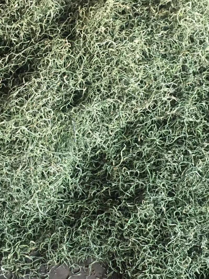架豆丝张家口特产蔚县贡菜绿色秋豆角丝干豆角丝
