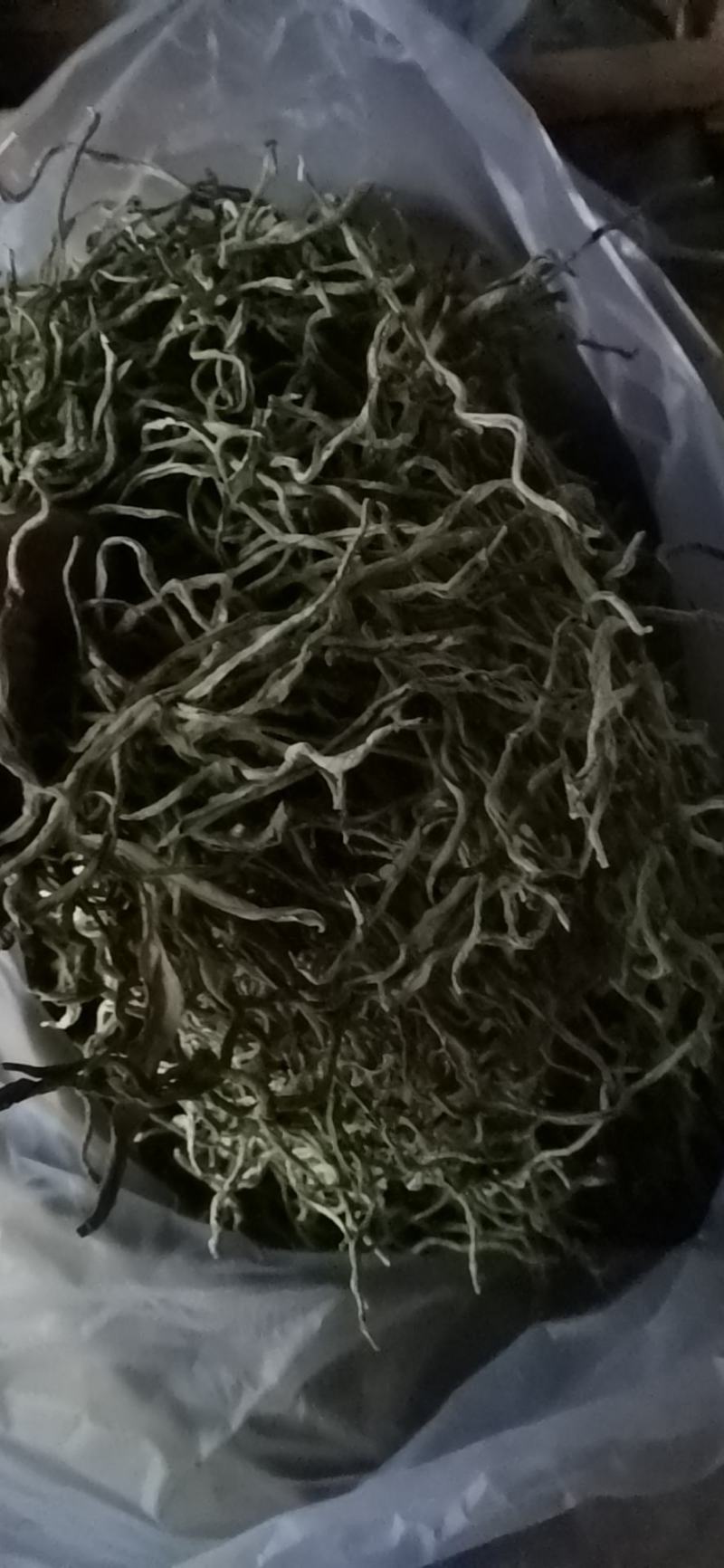 架豆丝张家口特产蔚县贡菜绿色秋豆角丝干豆角丝