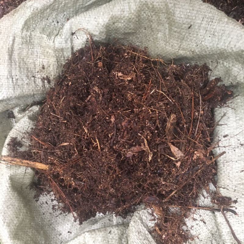腐叶土，黑土，适合喜欢种植花花草草的朋友，种竹荪专用