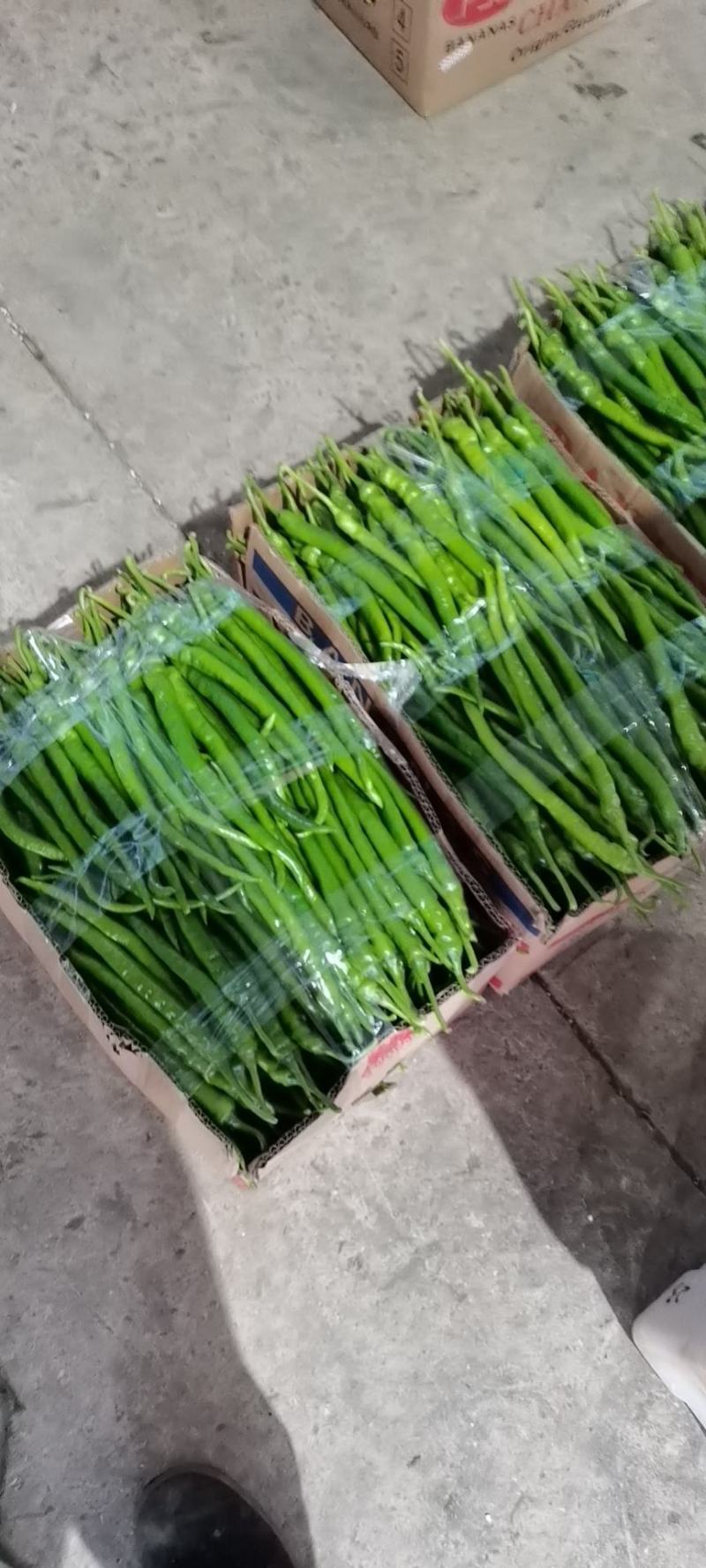 鲜辣椒