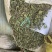 积雪草马蹄菜高含量云南野生货产地一手货源大货供应