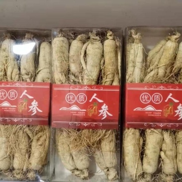 长白山人参八年人参白参生晒参野生人参干参东北园参泡酒煲汤