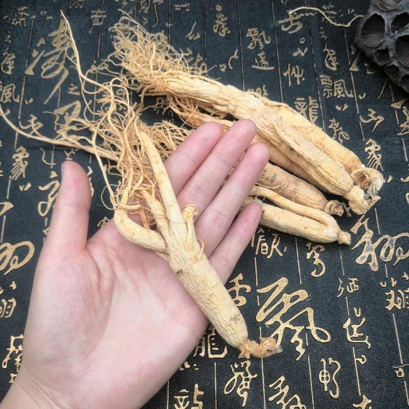 长白山人参八年人参白参生晒参野生人参干参东北园参泡酒煲汤