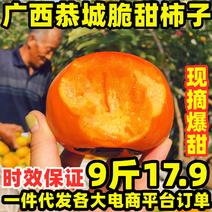 【柿子】广西脆柿子冰糖甜柿现摘新鲜水果产地直发新鲜水果