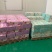 开心果工厂供货真实报价线上交易坚守底线不卖次货